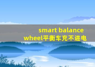 smart balance wheel平衡车充不进电